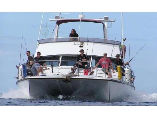 Charter Boat / Yacht - Double Rum, Gulf Harbour (Auckland & Hauraki Gulf)