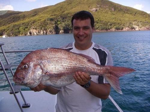 Charter Boat / Yacht - Double Rum, Gulf Harbour (Auckland & Hauraki Gulf)