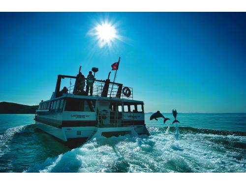 Charter Boat / Yacht - Black Cat Cruises, Akaroa & Lyttelton  (Christchurch)