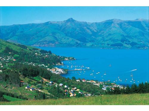 Charter Boat / Yacht - Black Cat Cruises, Akaroa & Lyttelton  (Christchurch)