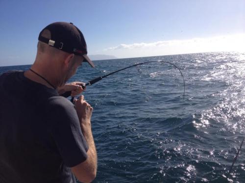 Charter Boat / Yacht - Savoy Charters, Auckland Viaduct (Auckland & Hauraki Gulf)