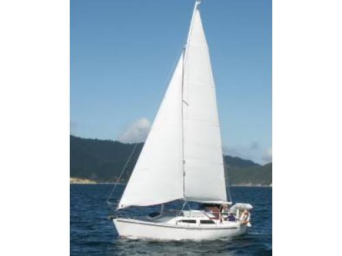 Charter Boat / Yacht - Zachary Hicks, Waikawa (Marlborough)