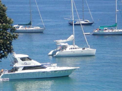Charter Boat / Yacht - Cruczar, Auckland (Auckland & Hauraki Gulf) Charter Boat / Yacht - Cruczar, Auckland (Auckland & Hauraki Gulf)
