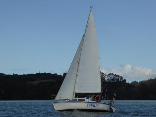 Charter Boat / Yacht - Great Escape, Opua (Bay of Islands, Northland) Charter Boat / Yacht - Great Escape, Opua (Bay of Islands, Northland)