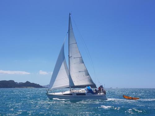 Charter Boat / Yacht - Great Escape, Opua (Bay of Islands, Northland) Charter Boat / Yacht - Great Escape, Opua (Bay of Islands, Northland)