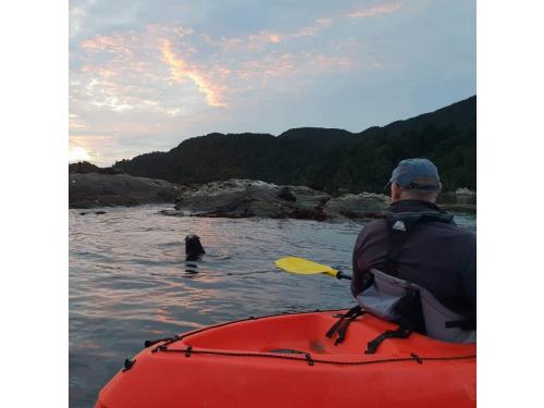 Charter Boat / Yacht - MV Pembroke, Dusky/Breaksea Sound (Fiordland/Southland & West Coast)