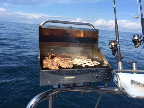 Charter Boat / Yacht - MV PRINCESS CAROL, Westhaven Marina Auckland, Z Pier, Berth 32 (Auckland & Hauraki Gulf)