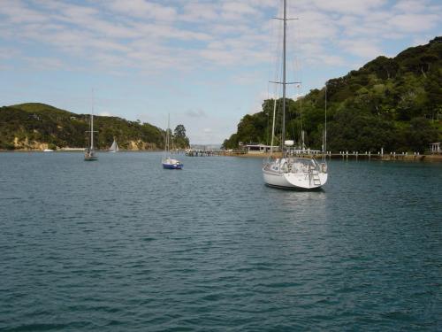 Charter Boat / Yacht - Rubaiyat, Gulf Harbour (Auckland & Hauraki Gulf)