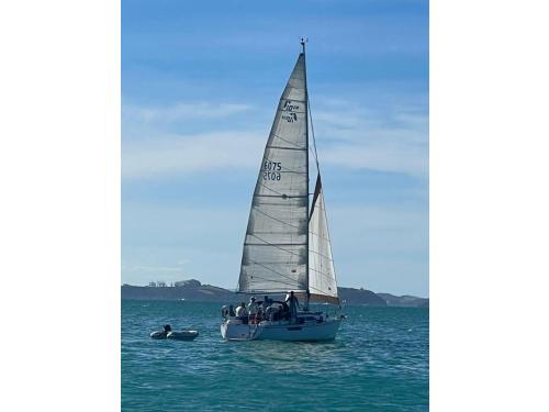 Charter Boat / Yacht - Sensation - Bay of Islands Yacht Charters, Bay of Islands Marina, Opua (Bay of Islands, Northland)