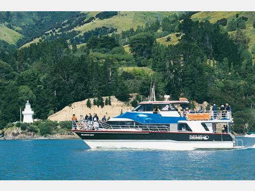 Black Cat Cruises Luxury Charter Boat Akaroa & Lyttelton  / Christchurch