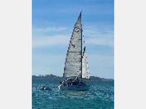 Sensation - Bay of Islands Yacht Charters Luxury Charter Boat Bay of Islands Marina, Opua / Bay of Islands, Northland