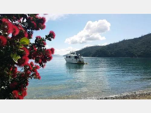 Sweet Georgia Luxury Charter Boat Wellington / Wellington