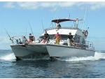 Double Rum - Charter Boat, Gulf Harbour / Auckland & Hauraki Gulf