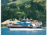 Black Cat Cruises - Charter Boat, Akaroa & Lyttelton  / Christchurch